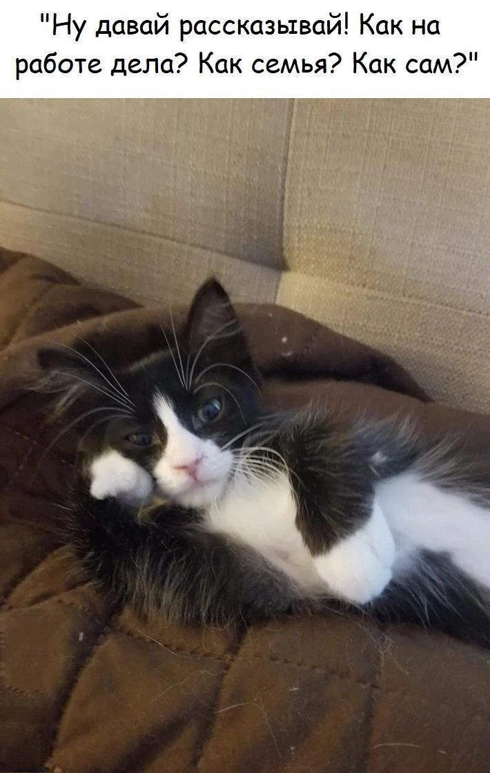 Ну давай рассказывай! Как на работе дела? Как семья? Как сам?