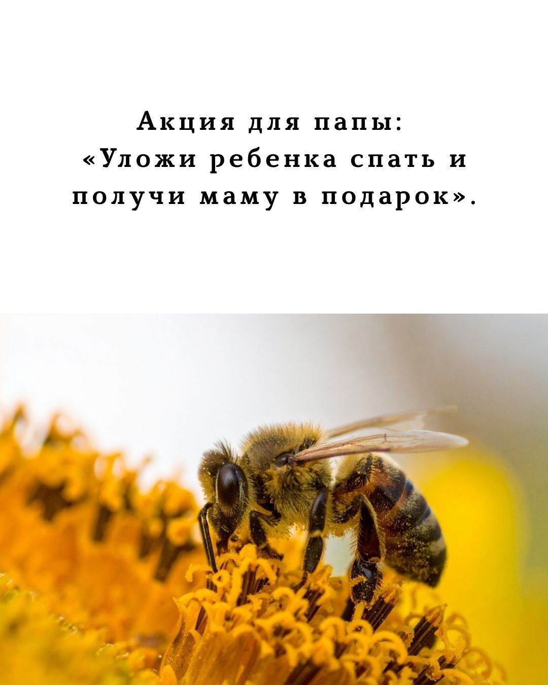 Акция для папы: «Уложи ребенка спать и получи маму в подарок».