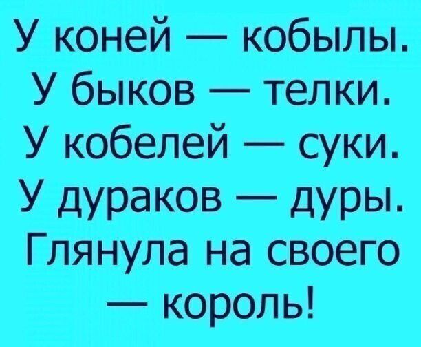 У коней — кобылы. У быков — телки. У кобелей — суки. У дураков — дуры. Глянула на своего — король!