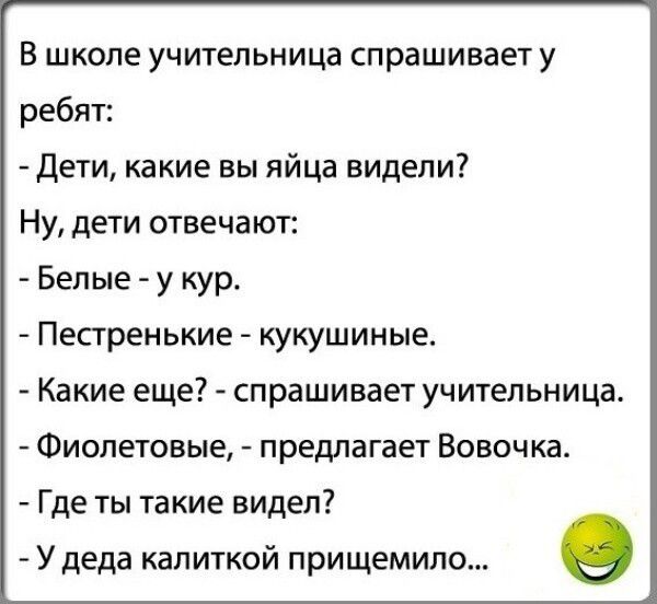 В школе учительница спрашивает у ребят:
- Дети, какие вы яйца видели?
Ну, дети отвечают:
- Белые - у кур.
- Пестренькие - кукушиные.
- Какие еще? - спрашивает учительница.
- Фиолетовые, - предлагает Вовочка.
- Где ты такие видел?
- У деда калиткой прищемило...
