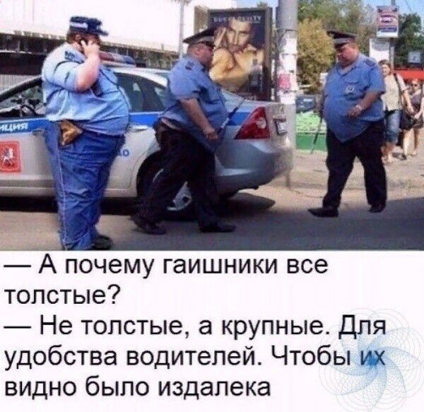 А почему гаишники все толстые? — Не толстые, а крупные. Для удобства водителей. Чтобы их видно было издалека.