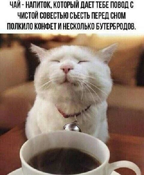 ЧАЙ - НАПИТОК, КОТОРЫЙ ДАЕТ ТЕБЕ ПОВОД С ЧИСТОЙ СОВЕСТЬЮ СЪЕСТЬ ПЕРЕД СНОМ ПОЛКИЛО КОНФЕТ И НЕСКОЛЬКО БУТЕРБРОДОВ.