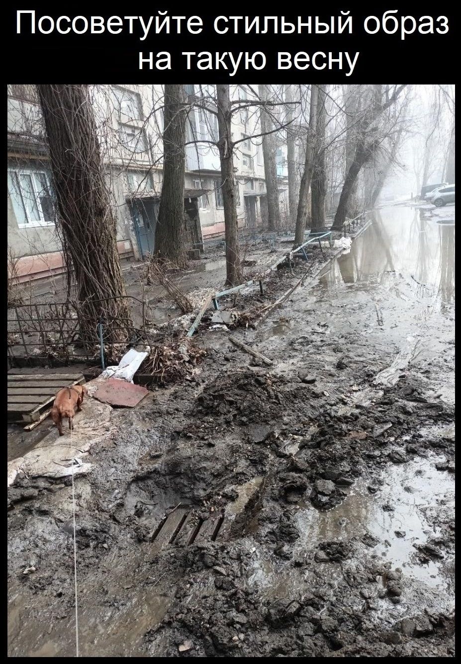 Посоветуйте стильный образ на такую весну
