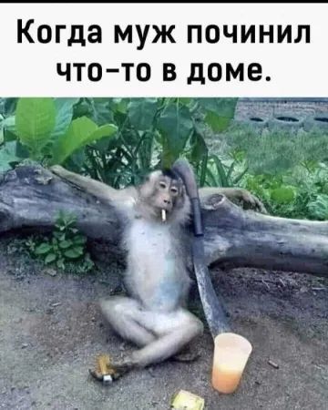 Когда муж починил что-то в доме.