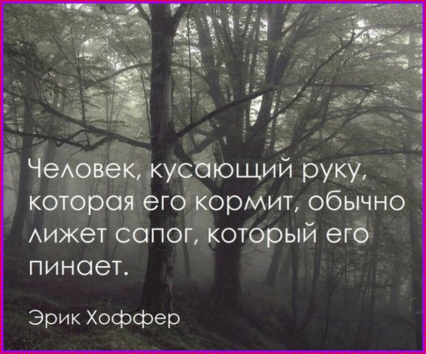 Человек, кусающий руку, которая его кормит, обычно лижет сапог, который его пинает. Эрик Хоффер