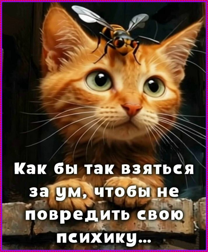 Как бы так взяться за ум, чтобы не повредить свою психику...