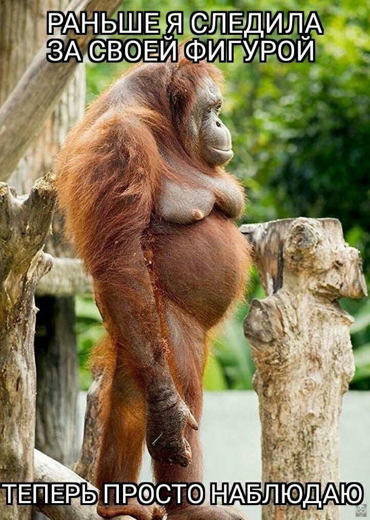 РАНЬШЕ Я СЛЕДИЛА ЗА СВОЕЙ ФИГУРОЙ ТЕПЕРЬ ПРОСТО НАБЛЮДАЮ