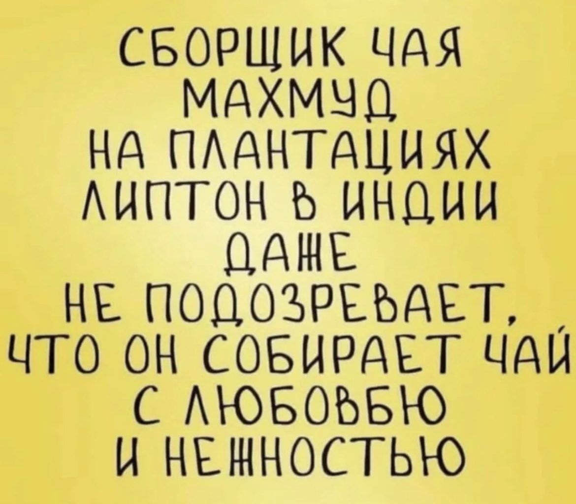 Сборщик чая Махмуд на плантациях Липтон в Индии даже не подозревает, что он собирает чай с любовью и нежностью.