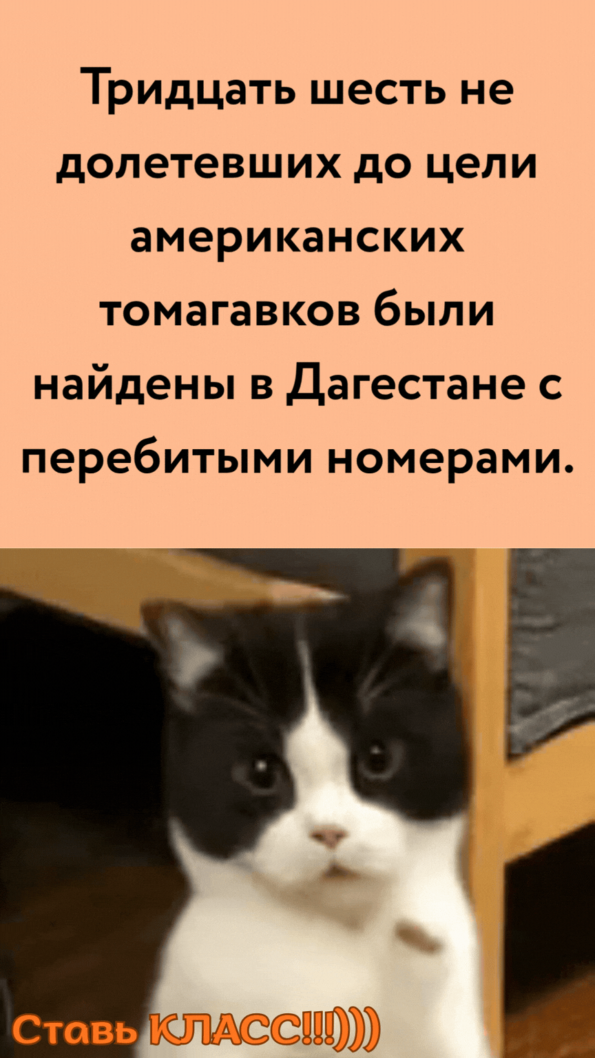 Тридцать шесть не долетевших до цели американских томагавков были найдены в Дагестане с перебитыми номерами. Ставь КЛАСС!!!)))