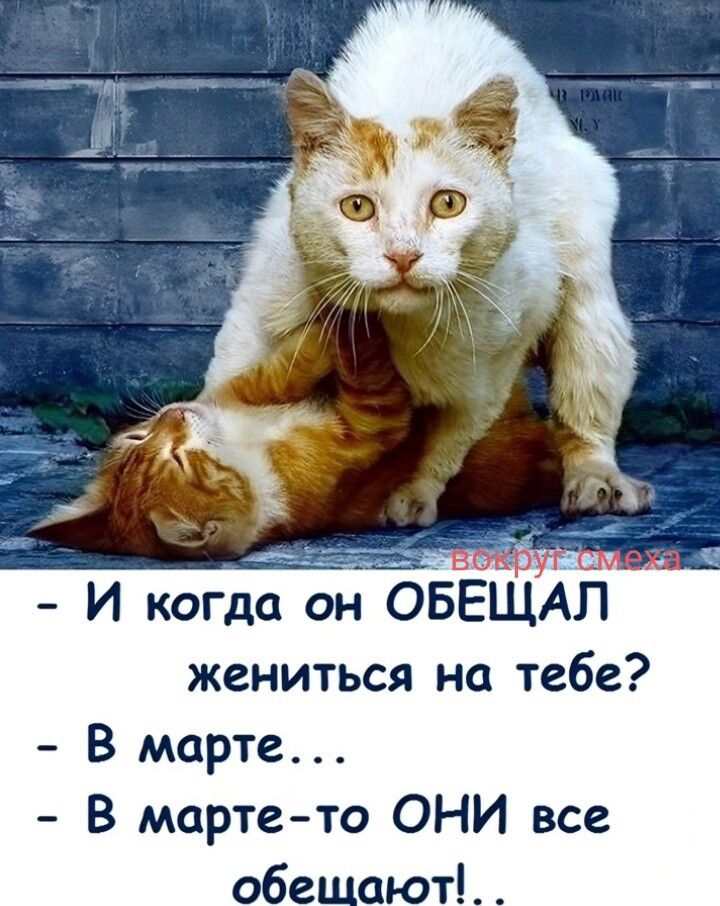 Вокруг смеха
- И когда он ОБЕЩАЛ жениться на тебе?
- В марте...
- В марте-то ОНИ все обещают!..
