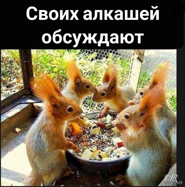 Своих алкашей обсуждают