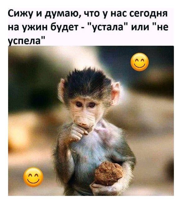 Сижу и думаю, что у нас сегодня на ужин будет - 