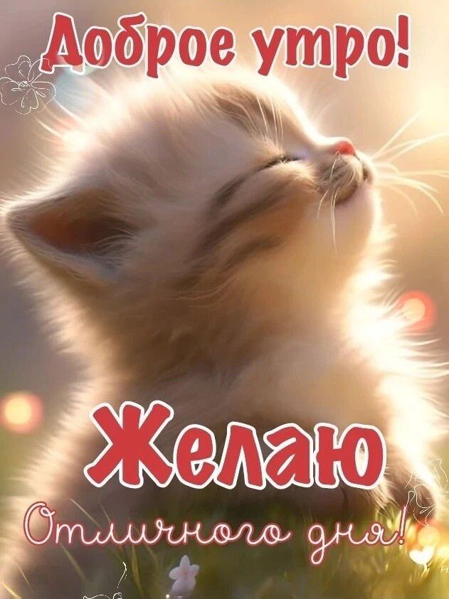Доброе утро! Желаю Отличного дня!