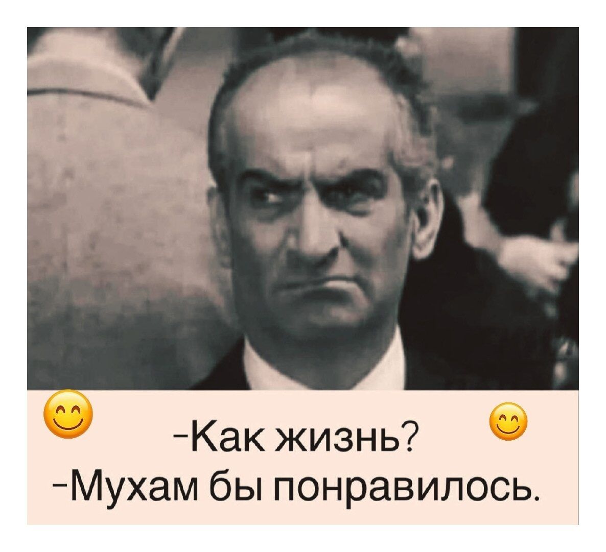 Как жизнь? Мухам бы понравилось.