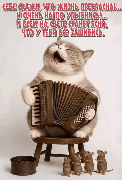 СЕБЕ СКАЖИ, ЧТО ЖИЗНЬ ПРЕКРАСНА!... И ОЧЕНЬ НАГЛО УЛЫБНИСЬ!... И ВСЕМ НА СВЕТЕ СТАНЕТ ЯСНО, ЧТО У ТЕБЯ ВСЕ ЗАШИБИСЬ.