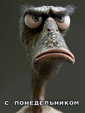 С ПОНЕДЕЛЬНИКОМ