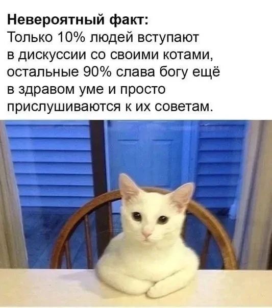 Невероятный факт: Только 10% людей вступают в дискуссии со своими котами, остальные 90% слава богу ещё в здравом уме и просто прислушиваются к их советам.