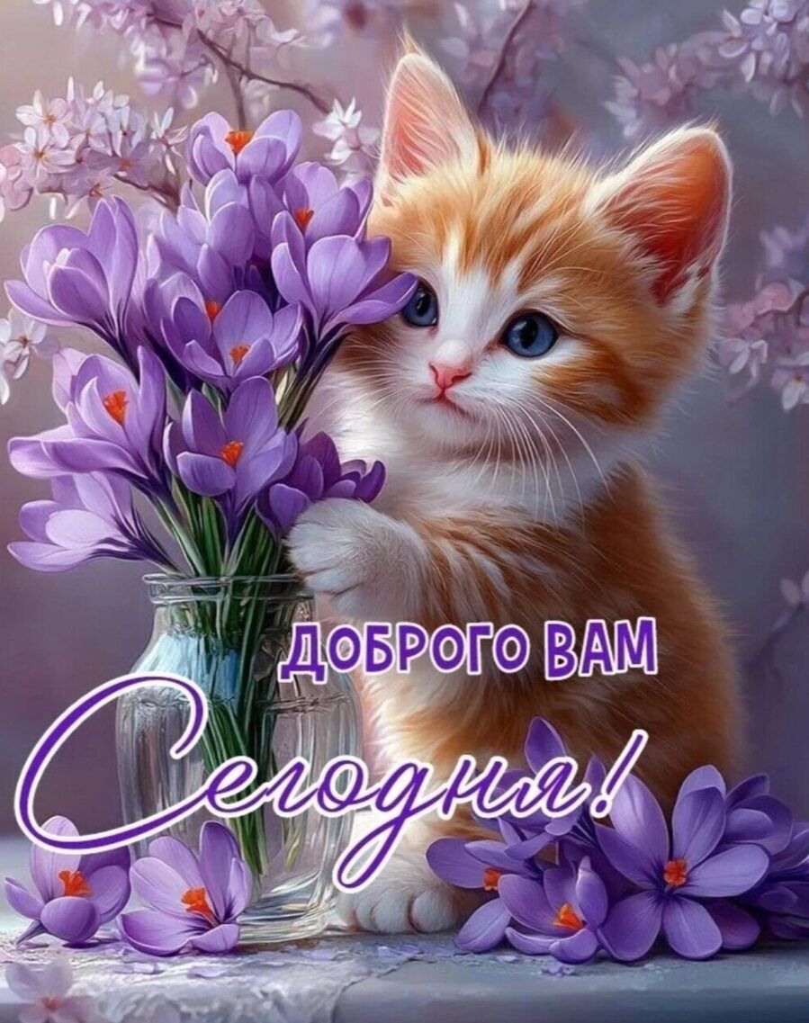 ДОБРОГО ВАМ Сегодня!