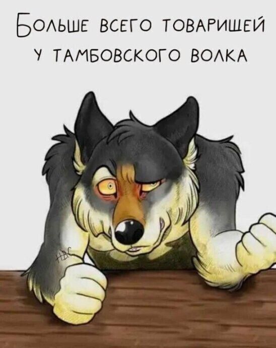 Больше всего товарищей у тамбовского волка
