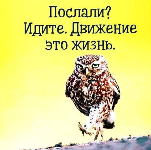 Послали? Идите. Движение это жизнь.