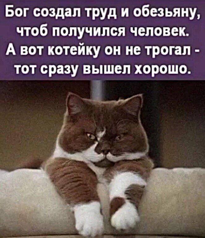 Бог создал труд и обезьяну, чтоб получился человек. А вот котейку он не трогал - тот сразу вышел хорошо.