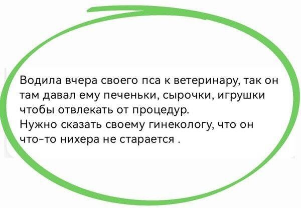 Водила вчера своего пса к ветеринару, так он там давал ему печеньки, сырочки, игрушки чтобы отвлекать от процедур. Нужно сказать своему гинекологу, что он что-то нихера не старается.