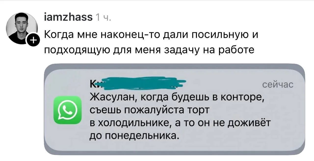 iamzhass 1 ч. Когда мне наконец-то дали посильную и подходящую для меня задачу на работе К: сейчас Жасулан, когда будешь в конторе, съешь пожалуйста торт в холодильнике, а то он не доживёт до понедельника.