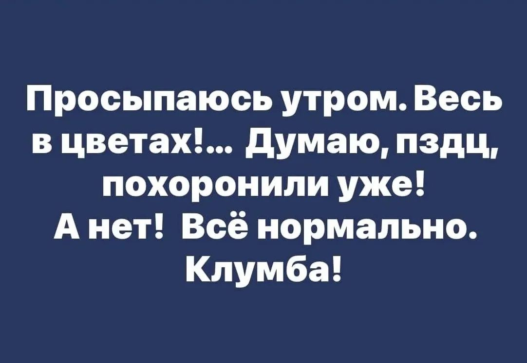 Просыпаюсь утром. Весь в цветах!... Думаю, пздц, похоронили уже! А нет! Всё нормально. Клумба!