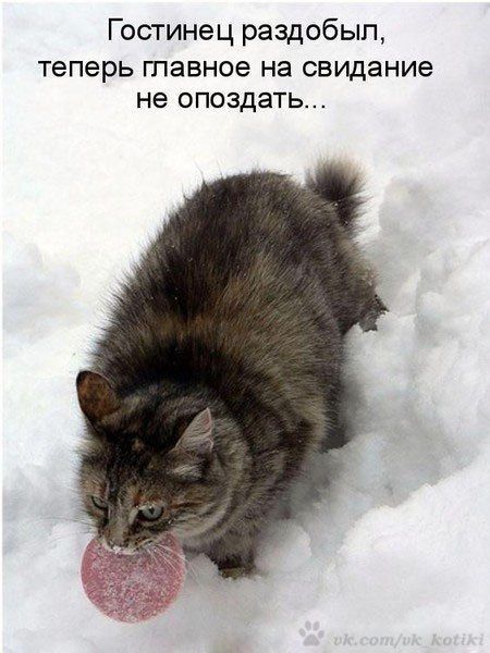 Гостинец раздобыл, теперь главное на свидание не опоздать...