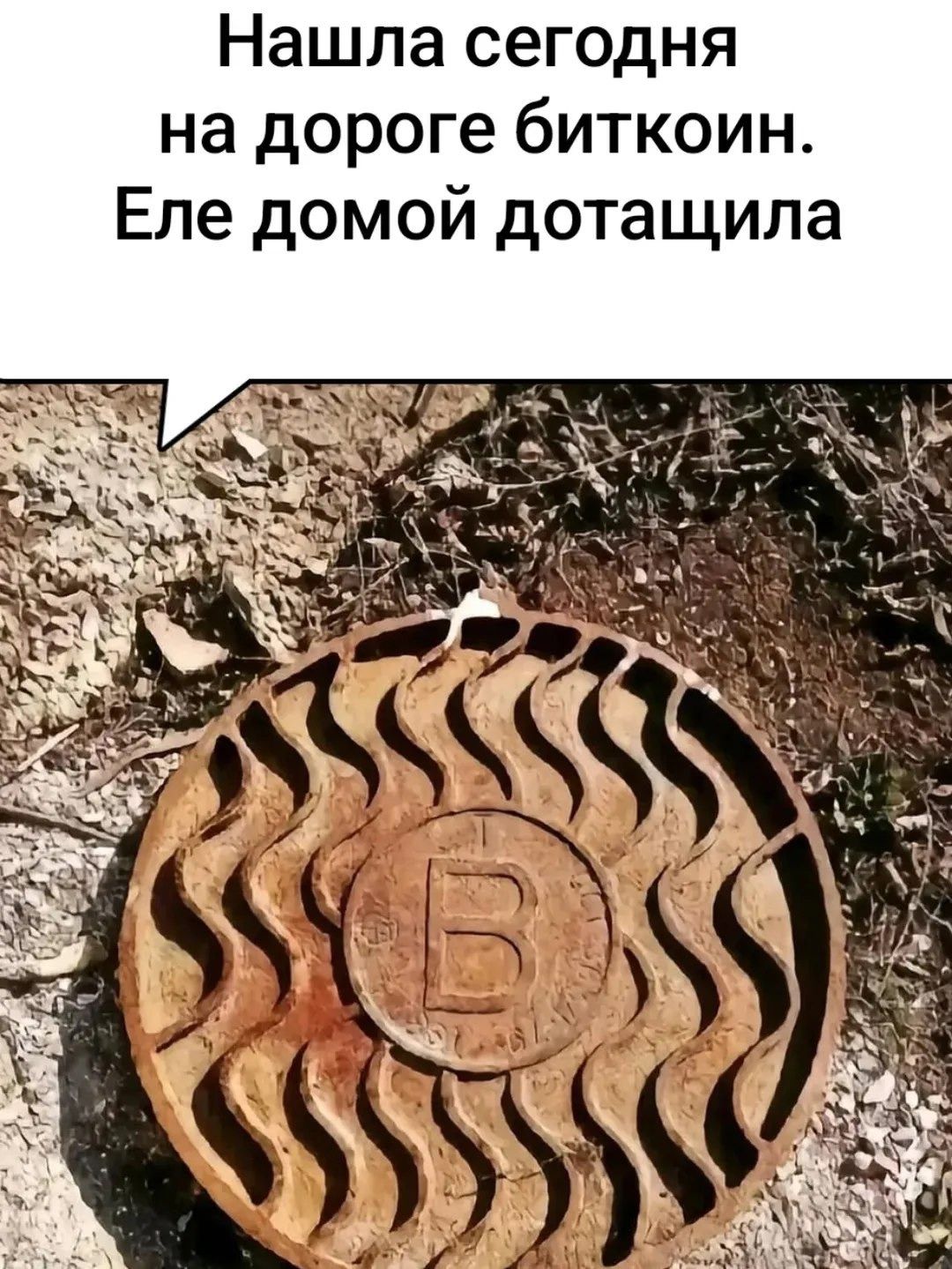 Нашла сегодня на дороге биткоин. Еле домой дотащила