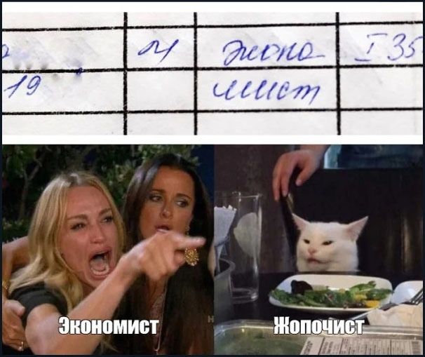 Эконо Жопо лист 19 Т35 Экономист Жопочист
