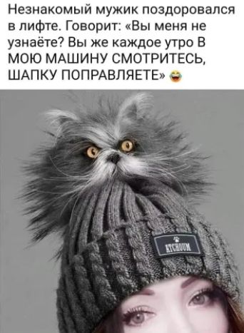 Незнакомый мужик поздоровался в лифте. Говорит: «Вы меня не узнаёте? Вы же каждое утро В МОЮ МАШИНУ СМОТРИТЕСЬ, ШАПКУ ПОПРАВЛЯЕТЕ» 😂