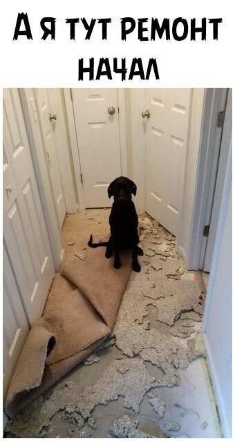 А я тут ремонт начал