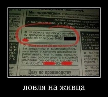 В психиатрическую лечебницу требуются лётчики. Собеседование по телефону 8-921-XXXXXXX. ЛОВЛЯ НА ЖИВЦА