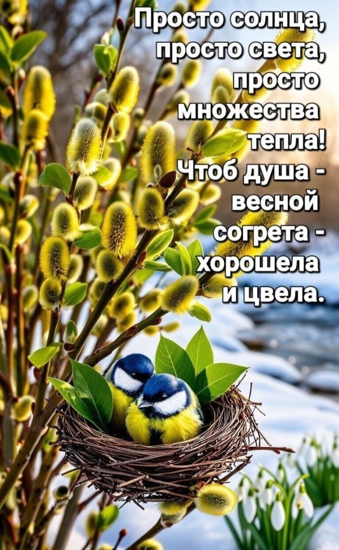 Просто солнца, просто света, просто множества тепла! Чтоб душа - весной согрета - хорошела и цвела.
