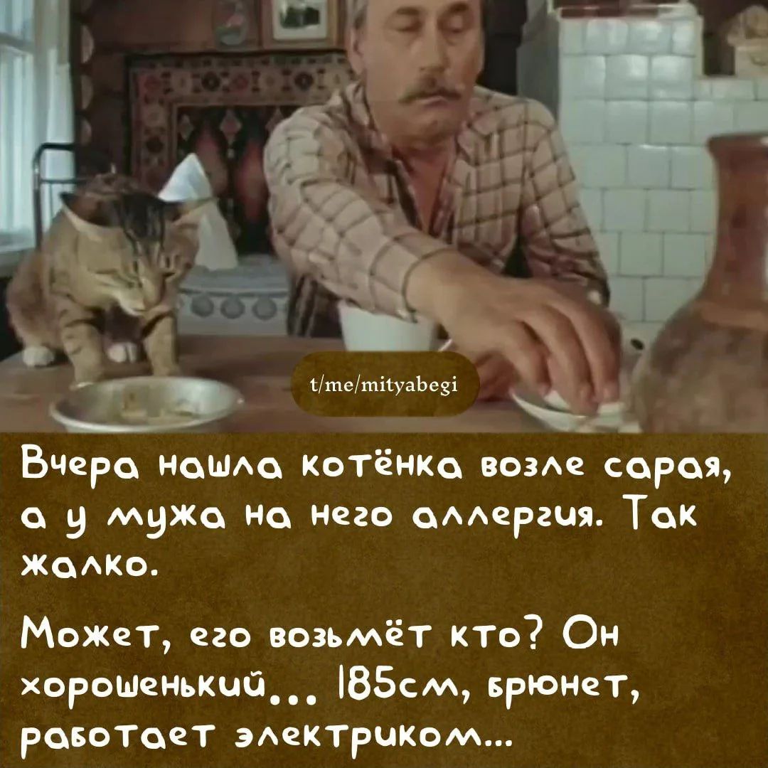 Вчера нашла котёнка возле сарая, а у мужа на него аллергия. Так жалко. Может, его возьмёт кто? Он хорошенький... 185см, брюнет, работает электриком...