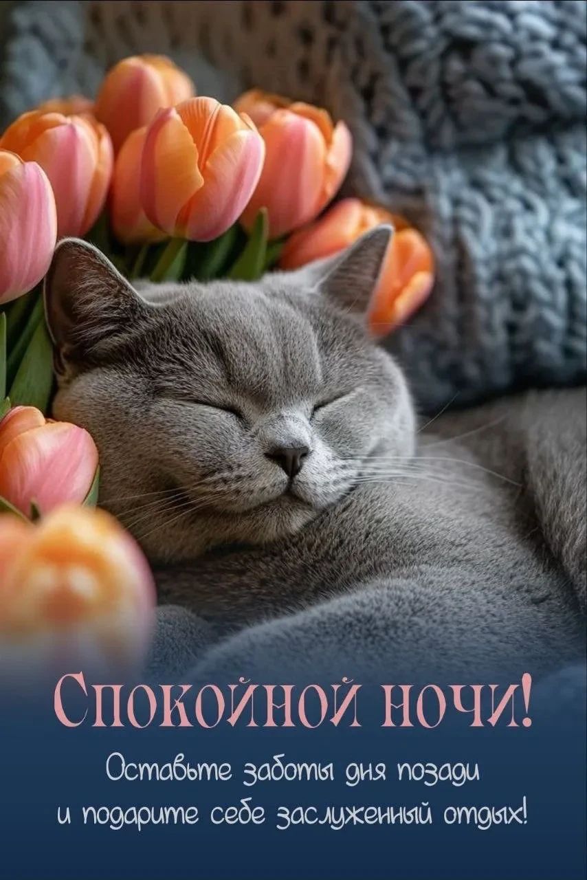 Спокойной ночи! Оставьте заботы дня позади и подарите себе заслуженный отдых!