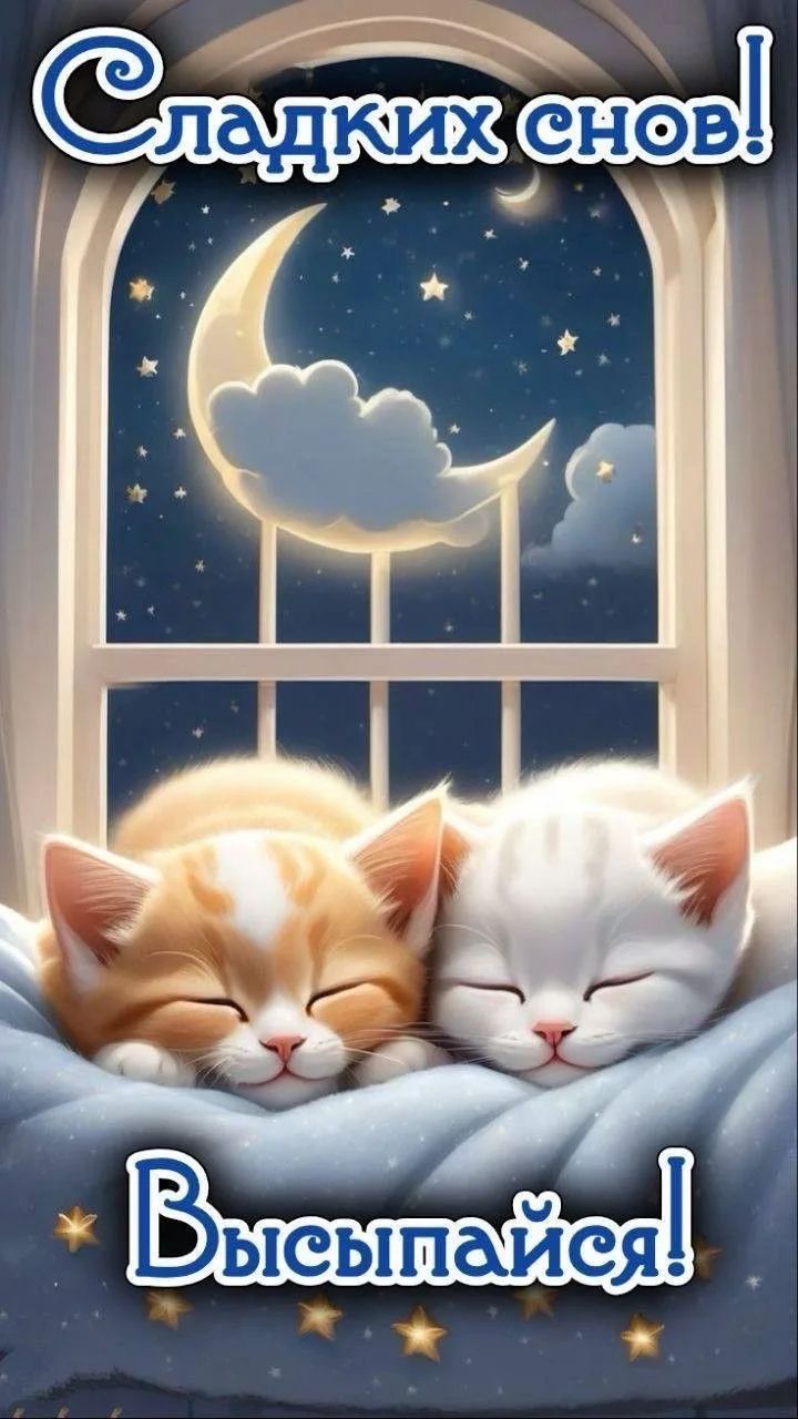 Сладких снов! Высыпайся!