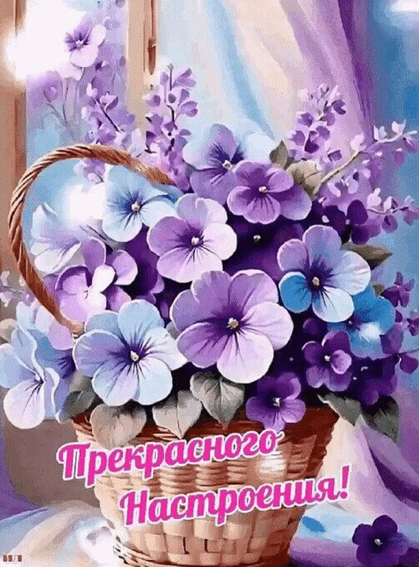 Прекрасного Настроения!