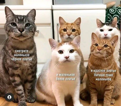 смотрите маленькое чёрное платье и маленькое белое платье и красное платье Наташе тоже маленькое