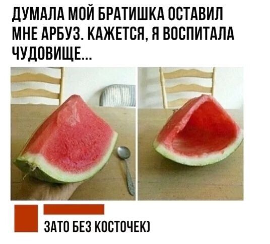 ДУМАЛА МОЙ БРАТИШКА ОСТАВИЛ МНЕ АРБУЗ. КАЖЕТСЯ, Я ВОСПИТАЛА ЧУДОВИЩЕ... ЗАТО БЕЗ КОСТОЧЕК)
