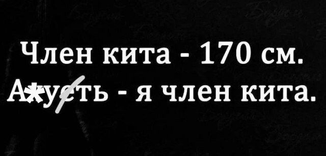 Член кита - 170 см. А*уеть - я член кита.