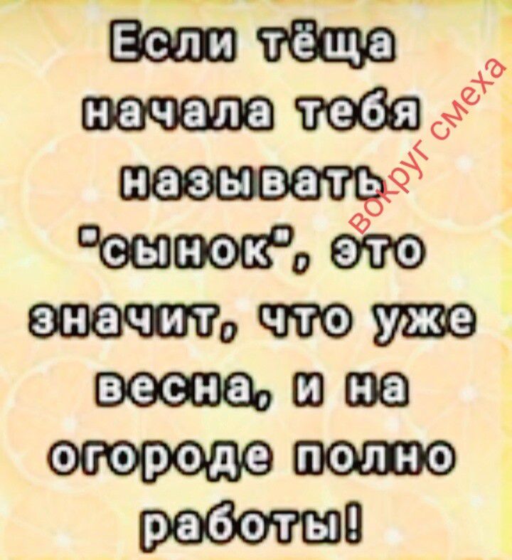 Если тёща начала тебя называть 