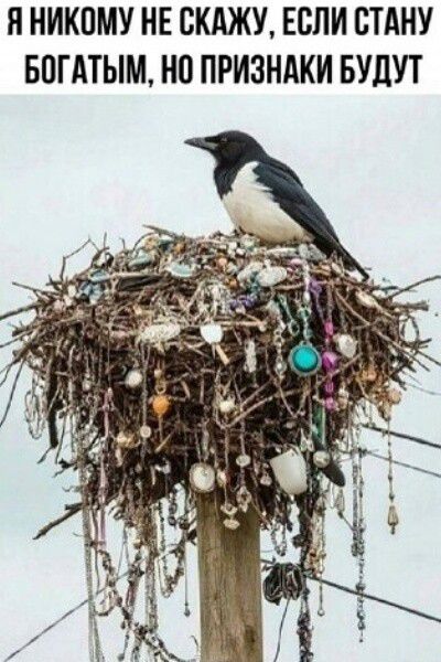 Я НИКОМУ НЕ СКАЖУ, ЕСЛИ СТАНУ БОГАТЫМ, НО ПРИЗНАКИ БУДУТ