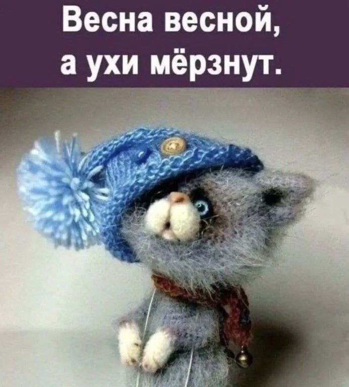 Весна весной, а ухи мёрзнут.