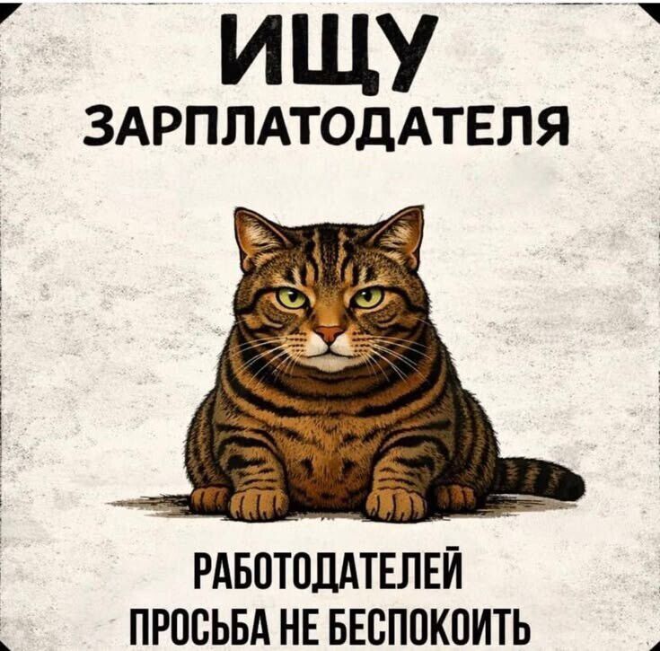 ИЩУ ЗАРПЛАТОДАТЕЛЯ РАБОТОДАТЕЛЕЙ ПРОСЬБА НЕ БЕСПОКОИТЬ