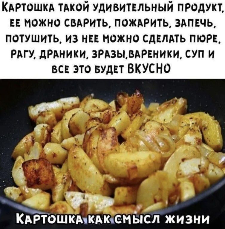 КАРТОШКА ТАКОЙ УДИВИТЕЛЬНЫЙ ПРОДУКТ, ЕЕ МОЖНО СВАРИТЬ, ПОЖАРИТЬ, ЗАПЕЧЬ, ПОТУШИТЬ, ИЗ НЕЕ МОЖНО СДЕЛАТЬ ПЮРЕ, РАГУ, ДРАНИКИ, ЗРАЗЫ, ВАРЕНИКИ, СУП И ВСЕ ЭТО БУДЕТ ВКУСНО. Картошка как смысл жизни