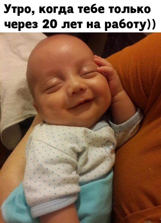 Утро, когда тебе только через 20 лет на работу))