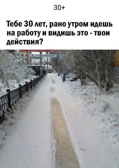 30+ Тебе 30 лет, рано утром идешь на работу и видишь это - твои действия?
