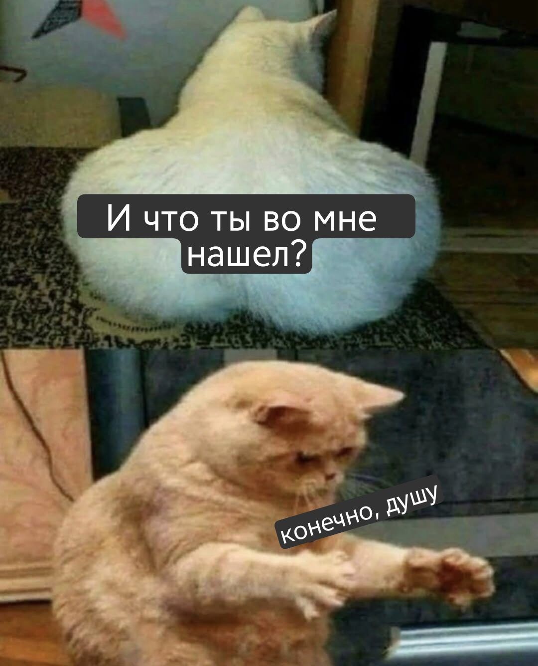 И что ты во мне нашел? конечно, душу